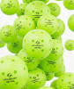 Gearbox Pro1 Training Pickleball