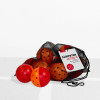 GAMMA Two-Tone Outdoor Training Pickleball